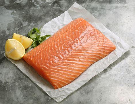 Large Salmon Fillet