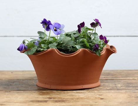 Spring Viola Planter