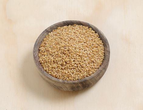 Golden Linseed Refill