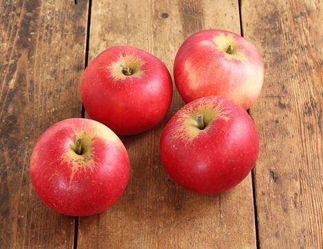 Large English Apples, Organic