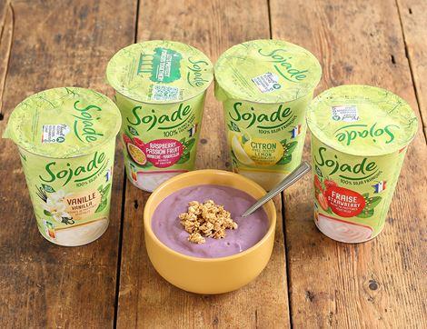 Soya Yogurt Alternative Subscription