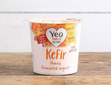 Honey Kefir Yogurt