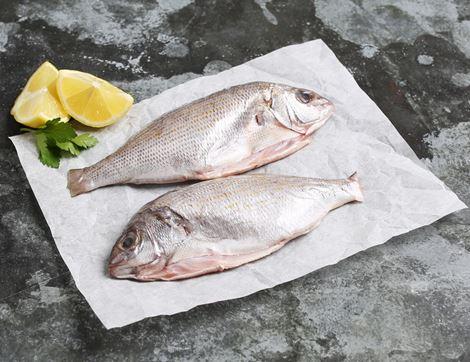 Wild Black Bream