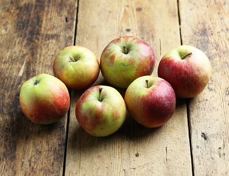 English Aria Apples