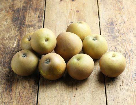 English Rosemary Russet Apples