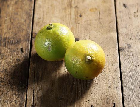 Bergamot Lemons