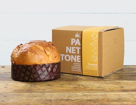 Classic Panettone