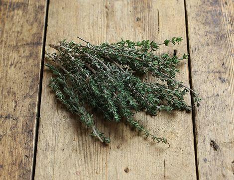 Thyme