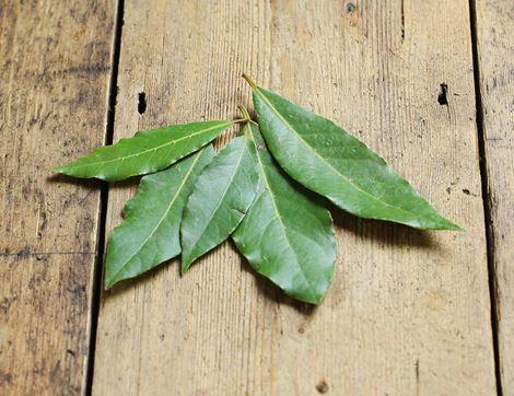 Bay Leaves