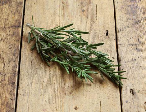 Rosemary