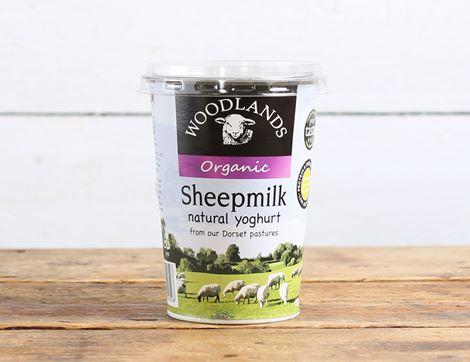 Sheep's Milk Natural Yogurt