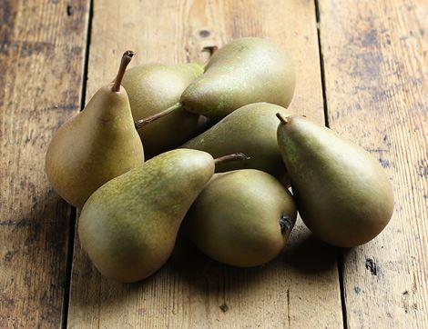 English Conference Pears