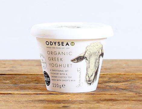 Sheep's Milk Greek Yogurt