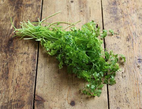 Chervil