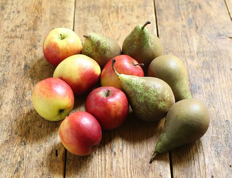 apple and pears bundle