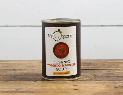 lentil soup mr organic