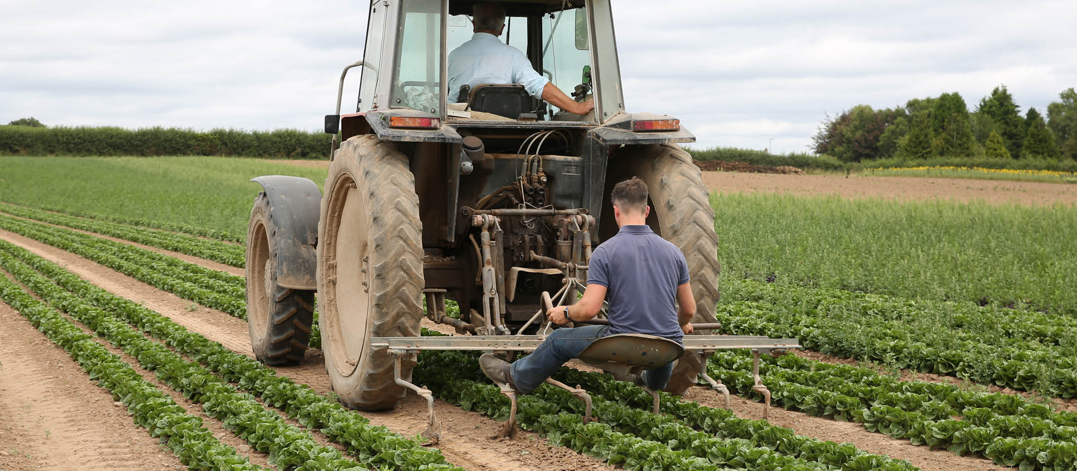 farmers