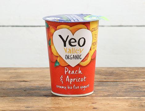 Peach & Apricot Yogurt