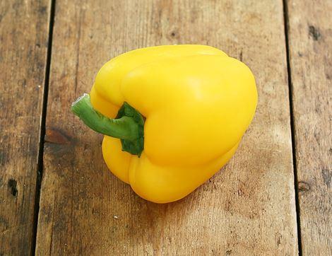 Yellow Pepper