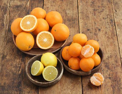 Seasonal Citrus Bundle