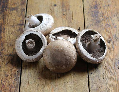 Portobello Mushrooms