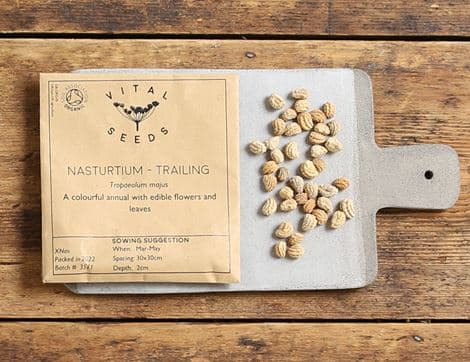 Nasturtium Seeds, Trailing