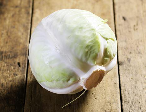 White Cabbage