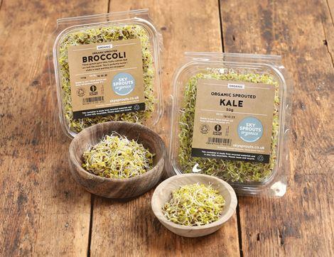 Broccoli & Kale Sprouts Bundle