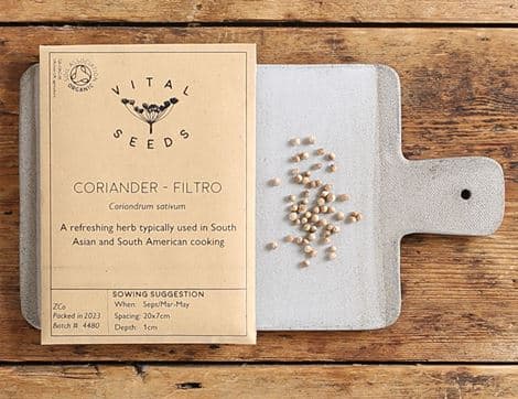 Coriander Seeds, Filtro