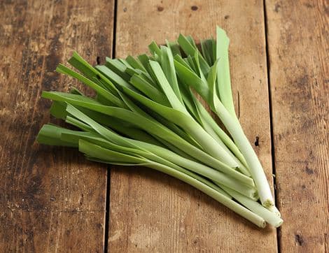 Wild Sea Leeks