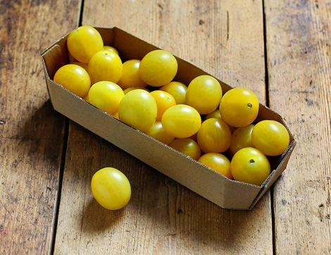 Yellow Baby Plum Tomatoes