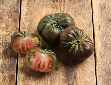 Adora® Tomatoes