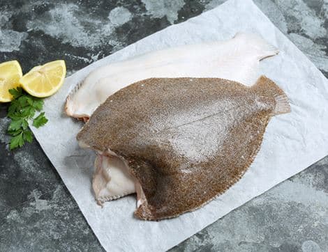 Wild Whole Brill