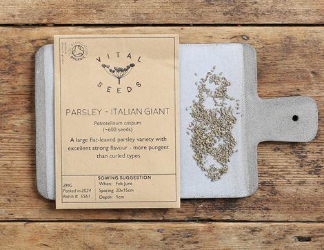 Parsley Seeds, Italian Giant