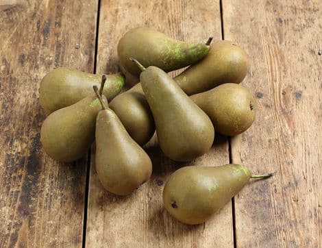 Conference Pears