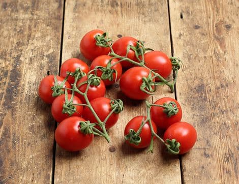 Piccadilly Vine Tomatoes