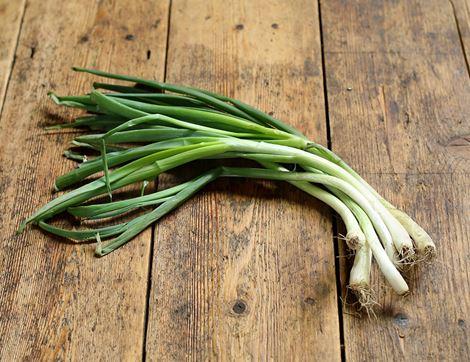 Spring Onions