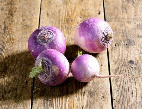 Violet Turnips