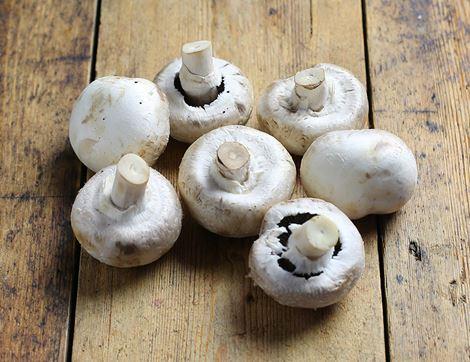 White Mushrooms