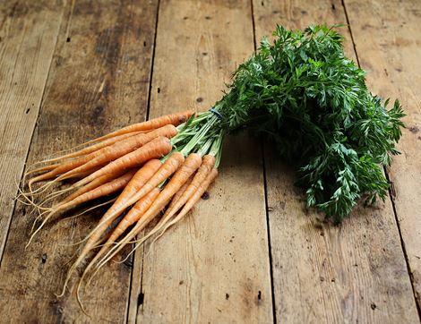 Bunched Carrots