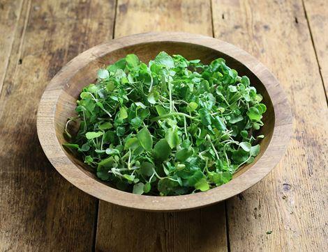 Watercress