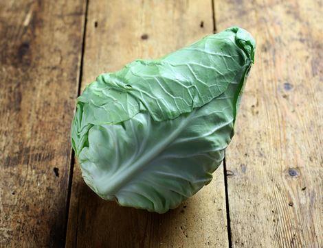 Green Pointed Cabbage