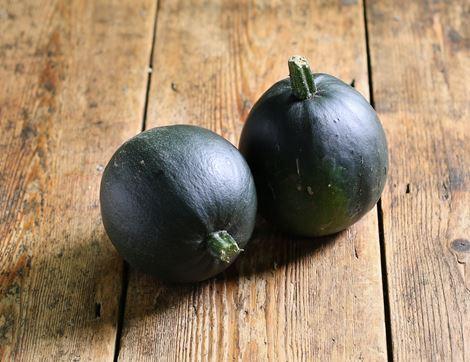 Gem Squash