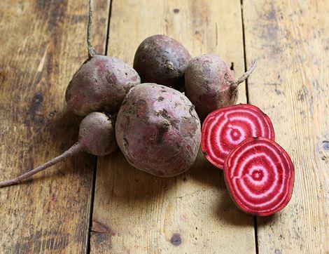 Chioggia Beetroot