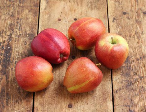 English Cox Royale Apples