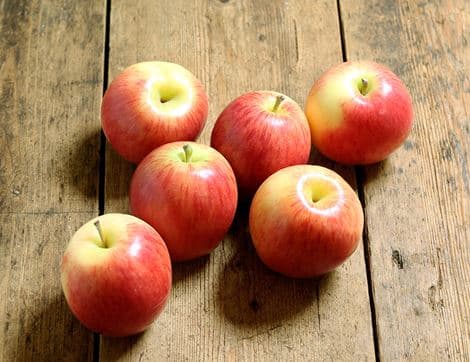 Gala Apples