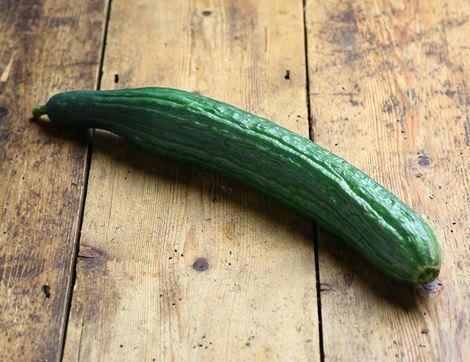 Cucumber