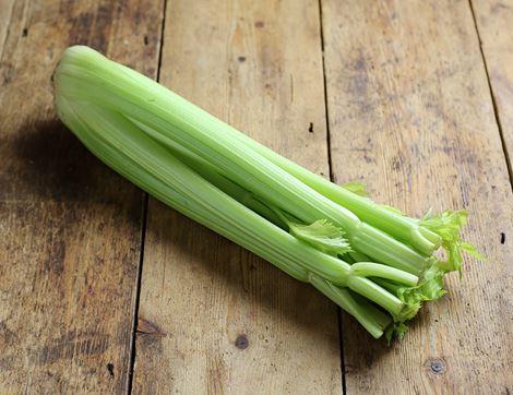 Celery