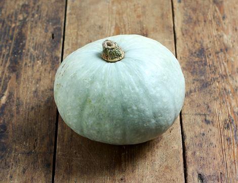 Crown Prince Squash