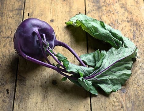 Purple Kohlrabi